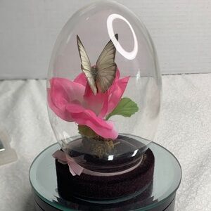 butterfly in a Egg Dome with Pink Flower and Butterfly